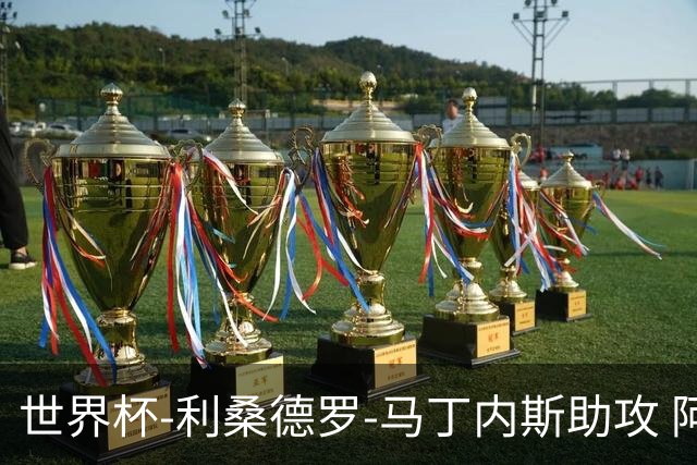 世界杯-利桑德罗-马丁内斯助攻 阿根廷半场暂1-0佛得角