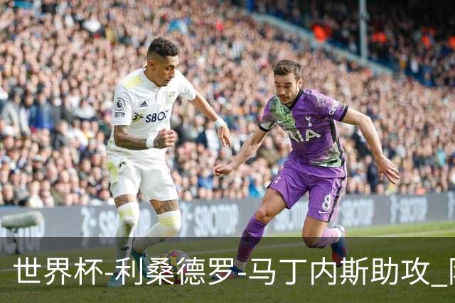 世界杯-利桑德罗-马丁内斯助攻 阿根廷半场暂1-0佛得角