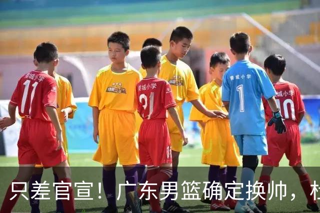 只差官宣！广东男篮确定换帅，杜锋正式下课，外籍教练团队即将加盟